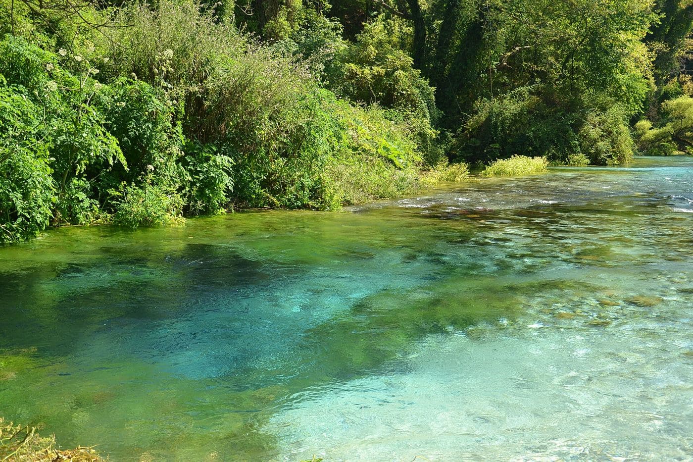Blue Eye (Syri i Kaltër)